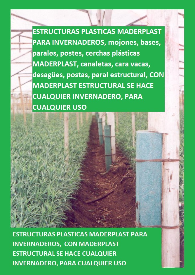 invernaderos para flores en madera plástica maderplast invernadero flor cortada maderas inmunizadas tratadas postes parales mojones care vaca carevaca cerchas estructuras invernadero canal 004 invernaderos para flores en madera plástica maderplast invernadero flor cortada maderas inmunizadas tratadas postes parales mojones care vaca carevaca cerchas estructuras invernadero canal 004